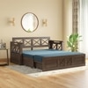 Bram 3 Seater Sofa Cum Bed in Danish Walnut Finish with Delft Blue Colour