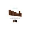Alex Engineered Wood Bookshelf in Walnut Finish