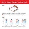 LiveIn Bounce - 3 Zone Pocket Spring with HR Foam Mattress for Zero Motion Transfer