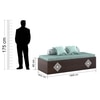 Livo Day Bed in Choco Walnut Finish