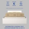 Virabhad Engineered Wood Queen  Size Bed With Hydraulic Storage (Melamine Finish, White Colour)