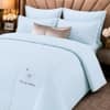 Blue Shade Solid Plan Super Soft Cotton Double Bedquilted Comfoter  250 X 230 Ms