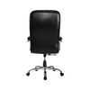 Adiko Puffy Director Chair In Black