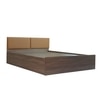 Satya Engineered Wood Queen  Size Bed With Box Storage (Walnut Finish)