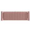 Jedlo Velvet 2 Seater Ottoman Bench  with Storage in Peach Color