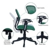 Aaeroa Low Back Ergonomic Chair in Dark Green Colour