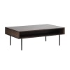 Lissette Storage Coffee Table