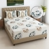 Yellow Floral 270 TC Glaze Cotton Fitted Queen Size Bedsheet With 2 Pilllow Covers