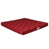 Amaze Eco High Density Foam Mattress (75 x 30 in, 4 Inches)