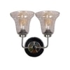 Devansh Steel Electric Wall Light in Steel Colour with Transparent Shade Count of 2 Lights