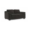 Esquel Premium 2 Seater Fabric Sofa in Graphite Grey Colour