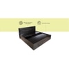 Themis Engineered Wood King  Size Bed With Drawer Storage (Melamine Finish)