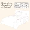 Stoa Paris Sateen Quilted King Size Bed Cover with 2 Pillow Covers (100 x 108) lted King Cha Champagne