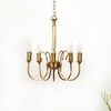 Penn 5 Light Brass Chandelier