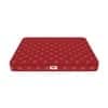 Resteria Bio Foam Coir Mattress