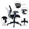 Aaeroa Low Back Ergonomic Chair in Black Colour