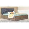 Japa Bed With Premium Leatherette Fabric And Box Storage Queen Bed
