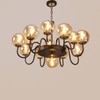 Eliante Chandelier, Champaign Glass Shades, 13-Light, Mild Steel, Modern Ceiling Light Fixture