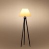 Devansh Tripod Floor Lamp