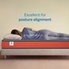Sleepwell Ortho Pro Mattress Medium Firm Neem Fresche Cool Yarn Fabric Single 78x42x8 Inch