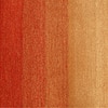 Presto Orange Solid Hand Tufted Wool Carpet 6X9 Feet