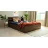 Timber Engineered Wood Queen  Size Bed With Box Storage (Walnut Finish)