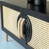 Ziggy Solid Wood TV unit 2 Door in Black Finish