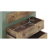 Avelin Chest of Drawer-Finish- Sage green with Burnt mango - Metal Channel