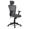 Dreaceo High Back Ergonomic Chair in Grey Colour