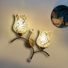 Devansh Metal Electric Wall Light in Gold Colour with Multi Shade Count of 2 Lights
