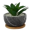 Artificial Aloe Vera Plant In A Patterned Ceramic Pot With A Wooden Plate