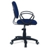 Doriona Low Back Ergonomic Chair in Blue Colour