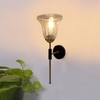 Devansh Metal Electric Wall Light in black Colour with Transparent Shade Count of 1 Light