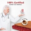 Resteria Bio Foam Coir Mattress