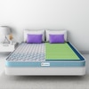 Sleepwell Pro Grid Mattress 8 inch Double Convoluted Foam Mattress (L x W: 84 inch x 48 inch)