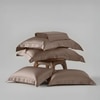 Stoa Paris Super King Size Bedsheet with 4 Pillow Covers  Size Cha Champagne