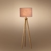 Devansh Tripod Floor Lamp