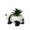Black 1 Pieces Succulent Artificial Plant With Pot