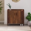 Brooklyn Engineered Wood Shoe Cabinet with Brown Maple finish