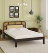 Rattan Solid Wood Queen Size  Bed Without Storage In Walnut Finish