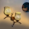 Devansh Metal Electric Wall Light in Gold Colour with Multi Shade Count of 2 Lights