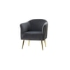 Celeo Solid Wood Accent Chair in Grey Colour