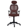 Reaii Mid Back Ergonomic Chair in Brown Colour