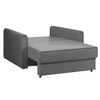 Flycon  Pull Out Sofa cum Bed  in Grey Colour