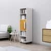Hexa Engineered Wood Bookshelf Multipurpose Storage Rack in Frosty White and Giant Wood Colour
