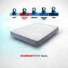 LiveIn Bounce - 3 Zone Pocket Spring with HR Foam Mattress for Zero Motion Transfer (75 x 60 in, 8 Inches)