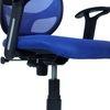 Goolda Low Back Ergonomic Chair in Blue Colour