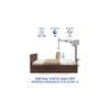 Viveka Bed With Premium Leatherette Fabric And Box Storage Queen Bed