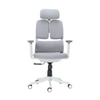Merry Premium Ergonomic Office Chair High Back in Grey Colour