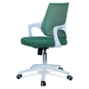 Xeanea Mid Back Ergonomic Chair in Dark Green Colour